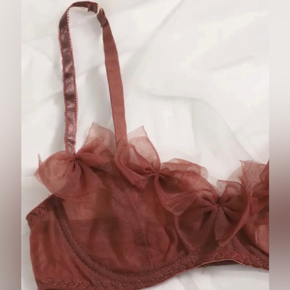 Brownish Maroon Elegant Lingerie Set - Picture 3 of 6